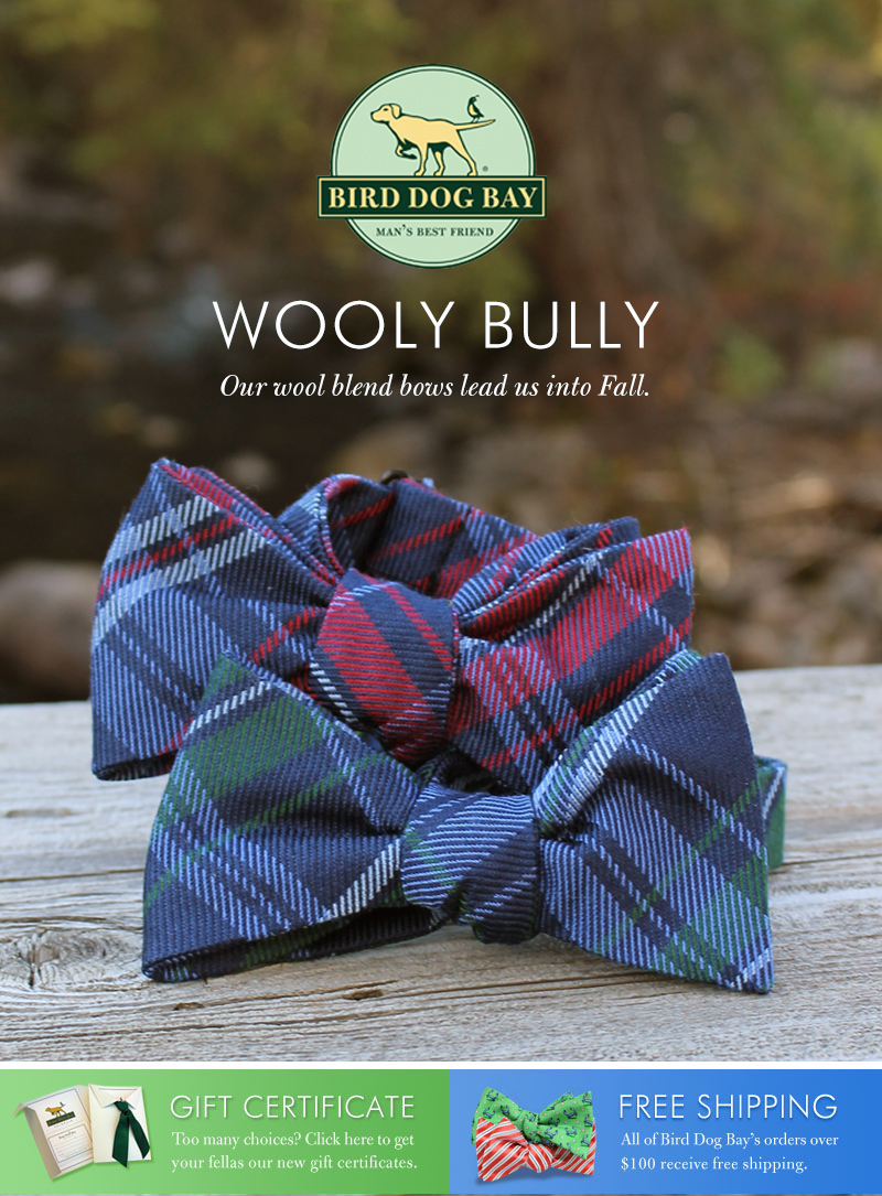 wooly-bully