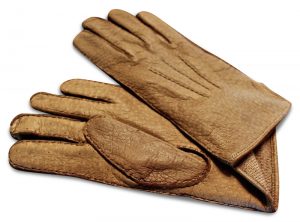 Peccary: Gloves - Pheasant