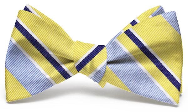 Wayfair Stripe: Bow - Yellow/Blue