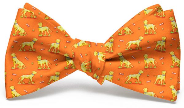 Lucky Labs: Bow - Orange