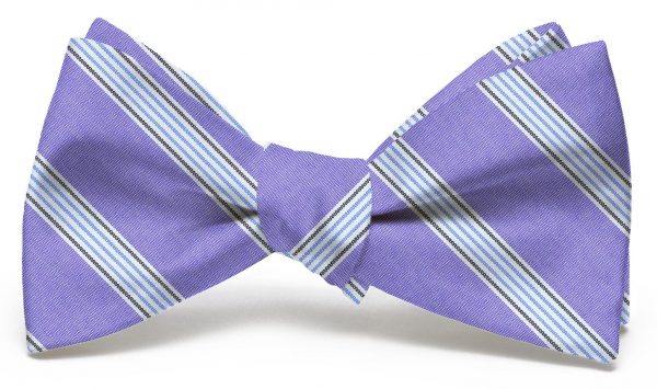 Catalina: Bow - Violet/Blue