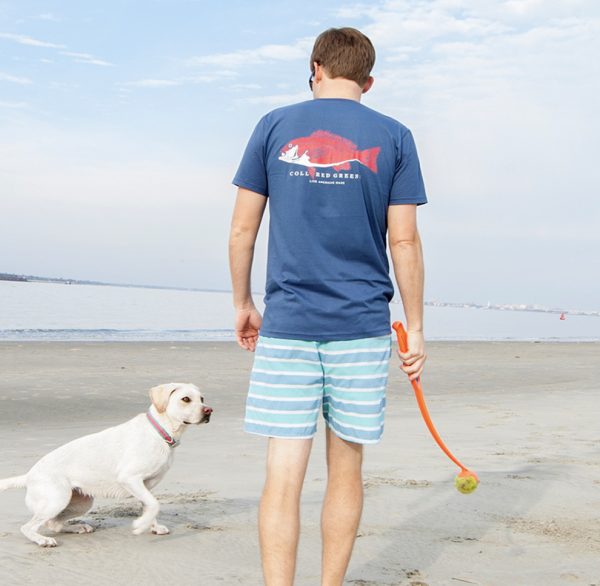 Collared Greens Circle Logo: Short Sleeve T-Shirt - Steel Blue