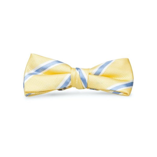 James: Boys Bow Tie - Yellow/Blue