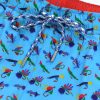 Let It Fly: Swim Trunks - Light Blue