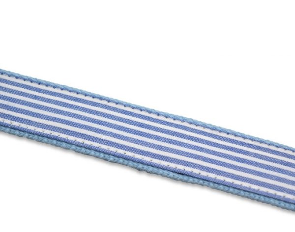 Palmetto Moon: Embroidered Belt - Light Blue