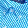 Stovall: Brookline Button Down Shirt - Marine Blue