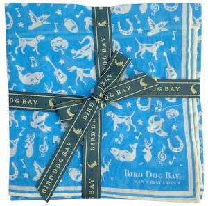 Southern Soirée: Cotton Pocket Square - Blue