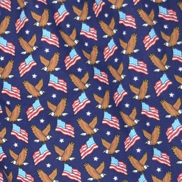 (OLD D3D) American Eagle: Boxers - Navy
