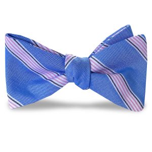 Catalina: Bow - Blue