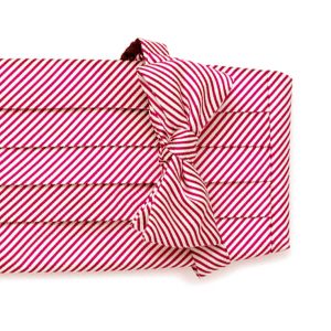 Signature Stripe: Cummerbund Set - Red