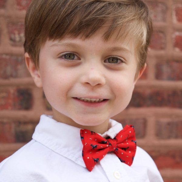 Barclay: Boy's Carolina Cotton Bow Tie