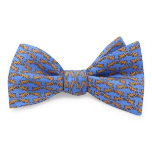 Leopards: Bow - Blue