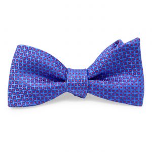 Berry: Bow - Blue