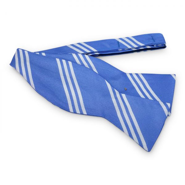College Collection Stripes: Bow - Blue