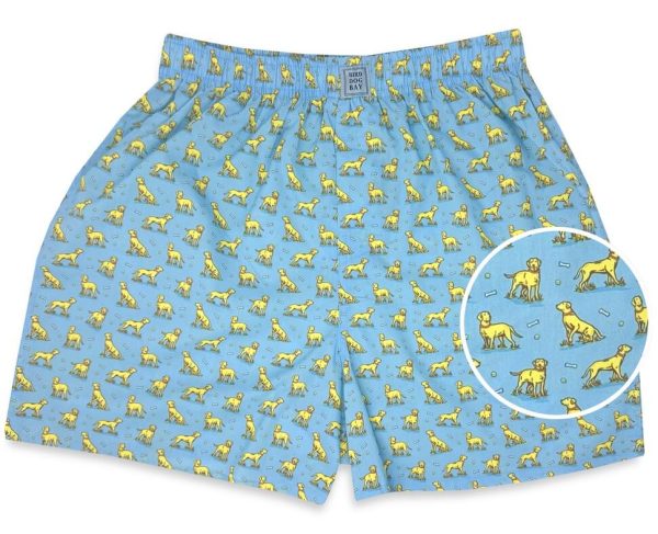 Doggone: Boxers - Light Blue