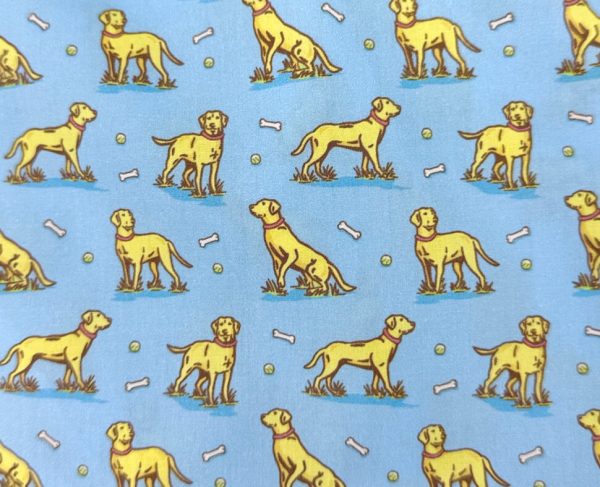 Doggone: Boxers - Light Blue